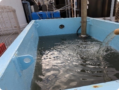 井戸水をタンクへ貯める